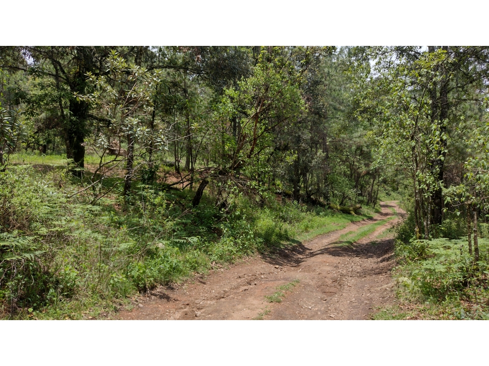 TERRENO EN VENTA EN MESA RICA/VALLE DE BRAVO - 4