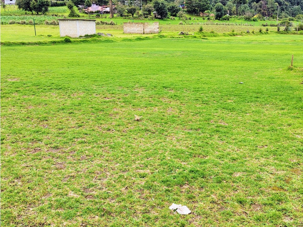 TERRENO EN VENTA /SAUCOS /VALLE DE BRAVO — foto 4