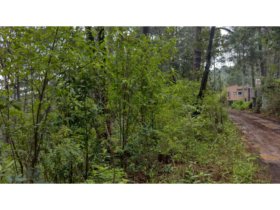TERRENO EN VENTA PASO HONDO/CERRO GORDO/VALLE DE BRAVO — foto 4