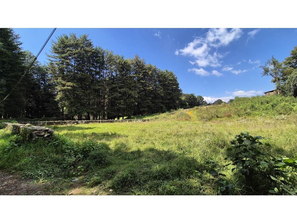 TU REFUGIO EN EL BOSQUE || TERRENO EN VENTA VALLE DE BRAVO — foto 6