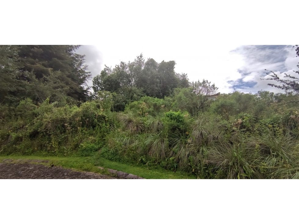 LOTE EN VENTA|VALLE SANTANA|VALLE DE BRAVO — foto 3