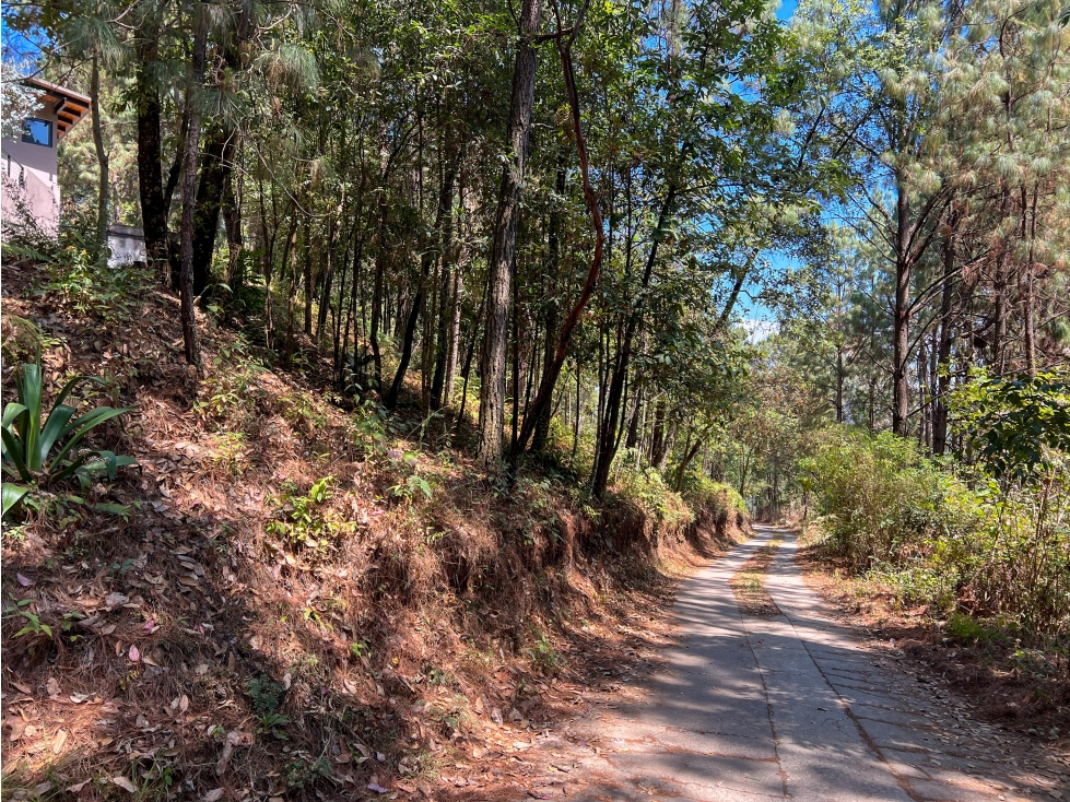 TERRENO EN VENTA|ENTORNO BOSCOSO|AVANDARO|VALLE DE BRAVO — foto 4