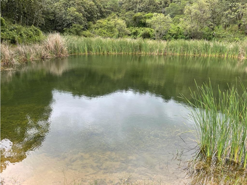 LOTES RESIDENCIALES EN VENTAL|SAN ANTONIO|VALLE DE BRAVO — foto 3