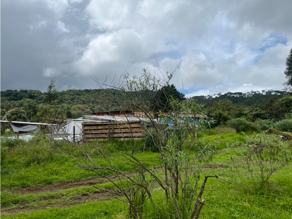 EXCELENTE TERRENO EN VENTA EN SAN MATEO ACATITLAN — foto 4