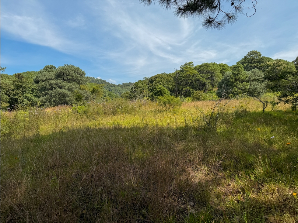 EXCLUSIVOS LOTES EN VENTA| NATURALEZA Y TRANQUILIDAD| VALLE DE BRAVO - 3
