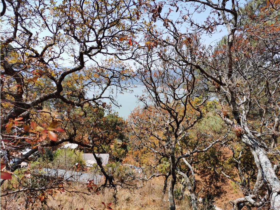 TERRENO CON VISTA AL LAGO| VALLE DE BRAVO — foto 3