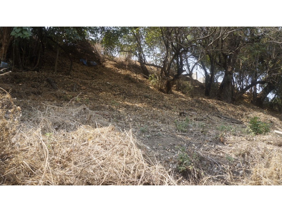 TERRENO EN ZONA CENTRO CON VISTA PARCIAL AL LAGO — foto 5