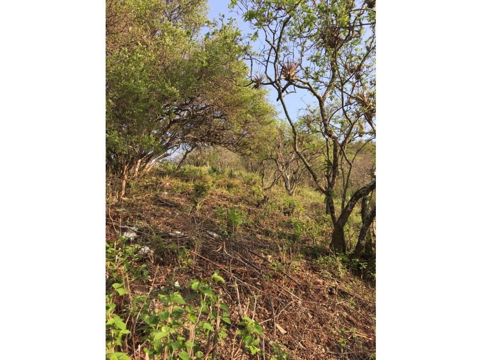 TERRENO EN VENTA, EXCELENTE VISTA PANORAMICA AL LAGO — foto 5