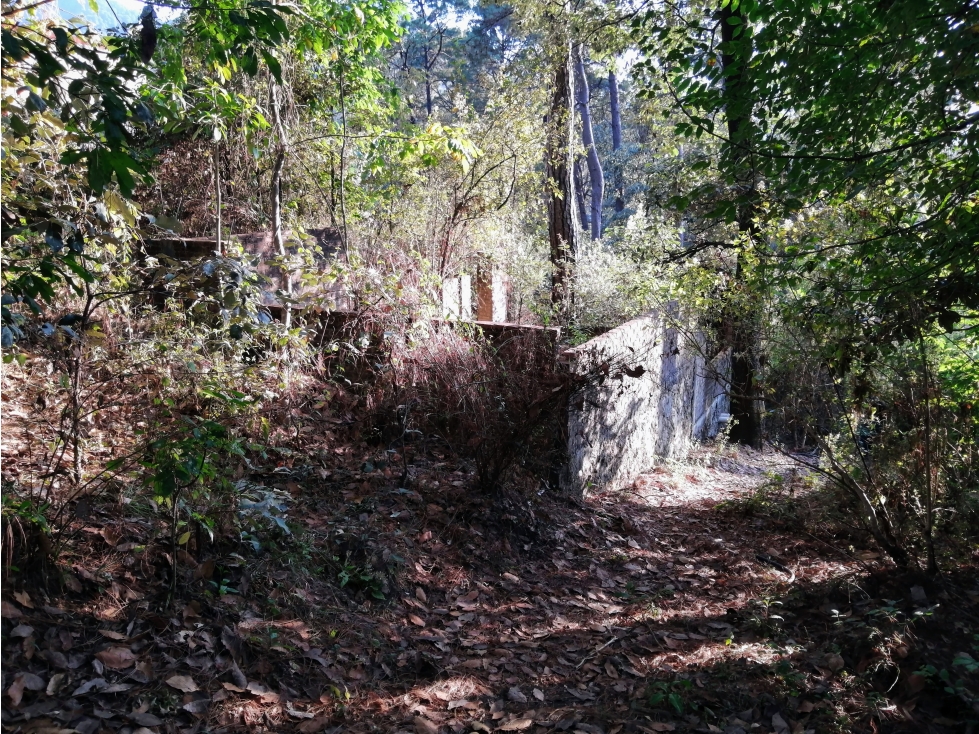 TERRENO EN VENTA / CIRCUITO AVANDARO — foto 5