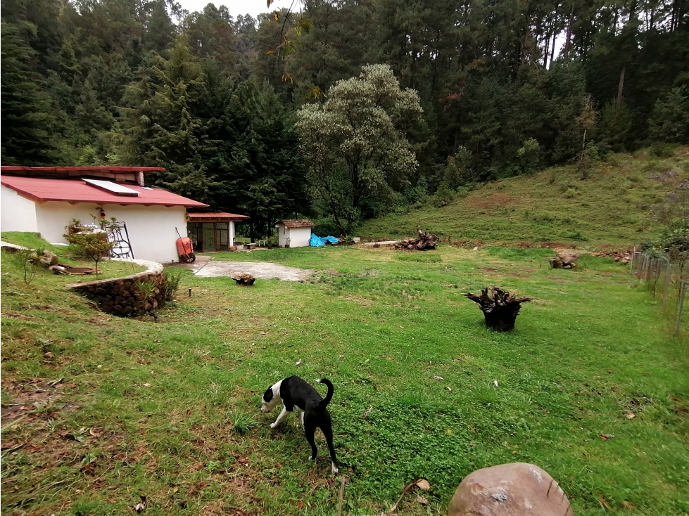 CASA EN RENTA, LOS SAUCOS VALLEDE BRAVO — foto 5