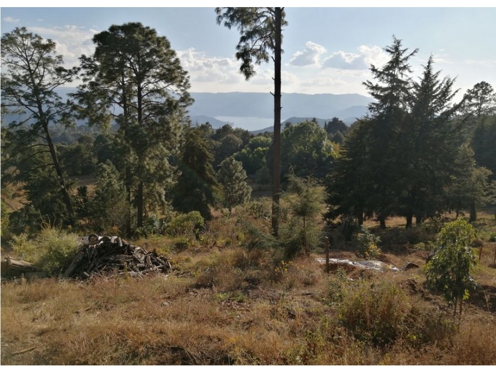 TERRENO EN VENTA / IXTLA VALLE DE BRAVO — foto 6