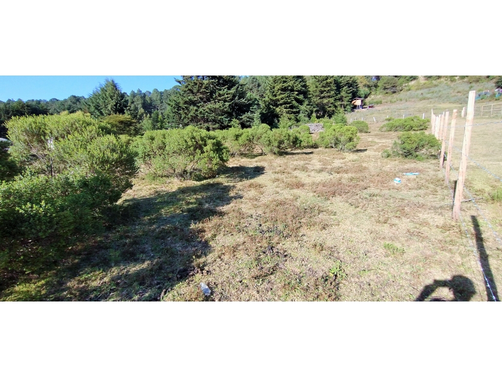 VENTA TERRENO /MESA RICA VALLE DE BRAVO — foto 4