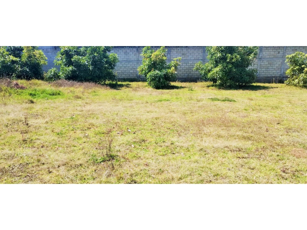 TERENO EN VENTA /ACATITLAN / VALLE DE BRAVO — foto 4