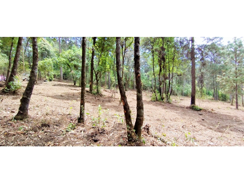 TERRENO EN VENTA/EL MANZANO/VALLE DE BRAVO - 6