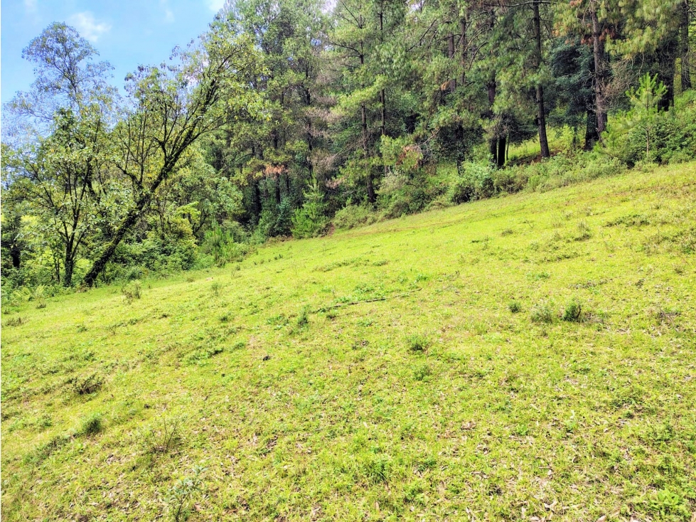 VENTA /TERRENO /SAUCOS /VALLE DE BRAVO — foto 2