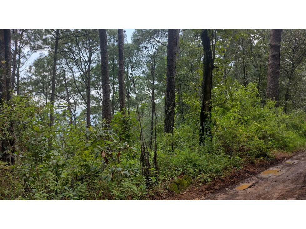TERRENO EN VENTA PASO HONDO/CERRO GORDO/VALLE DE BRAVO — foto 2