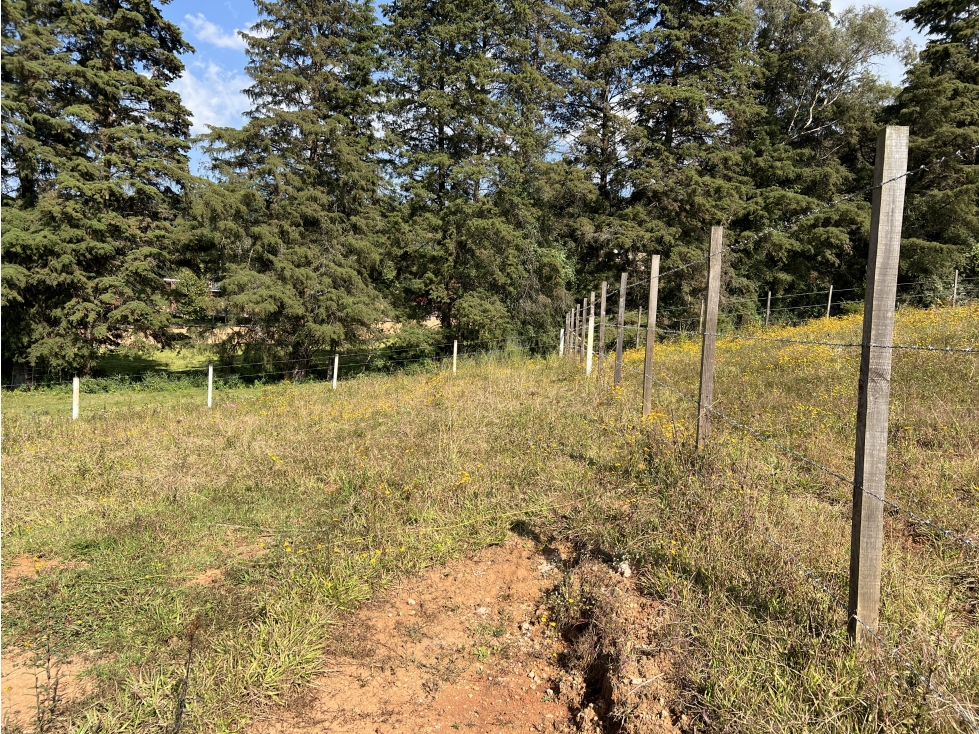 TERRENO EN VENTA|CERRADA CON BOSQUE|ACATITLAN|VALLE DE BRAVO — foto 3