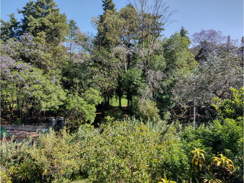 DEPARTAMENTO EN RENTA / VALLE DE BRAVO — foto 6