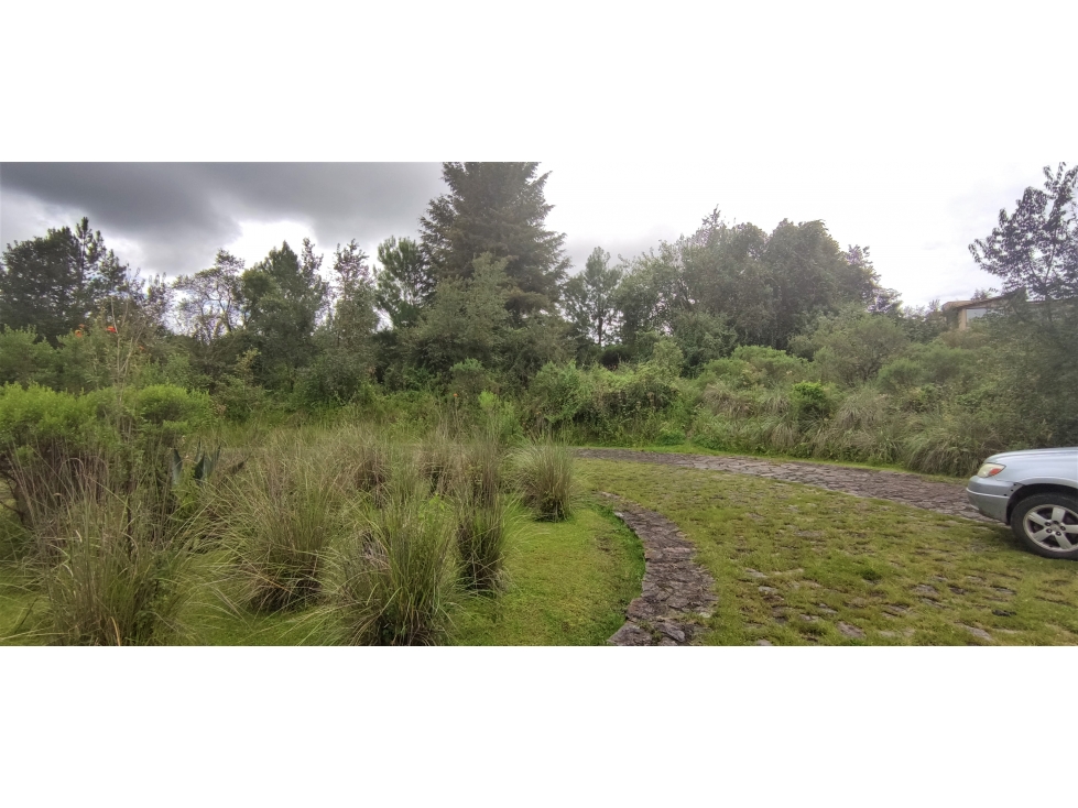 LOTE EN VENTA|VALLE SANTANA|VALLE DE BRAVO — foto 4