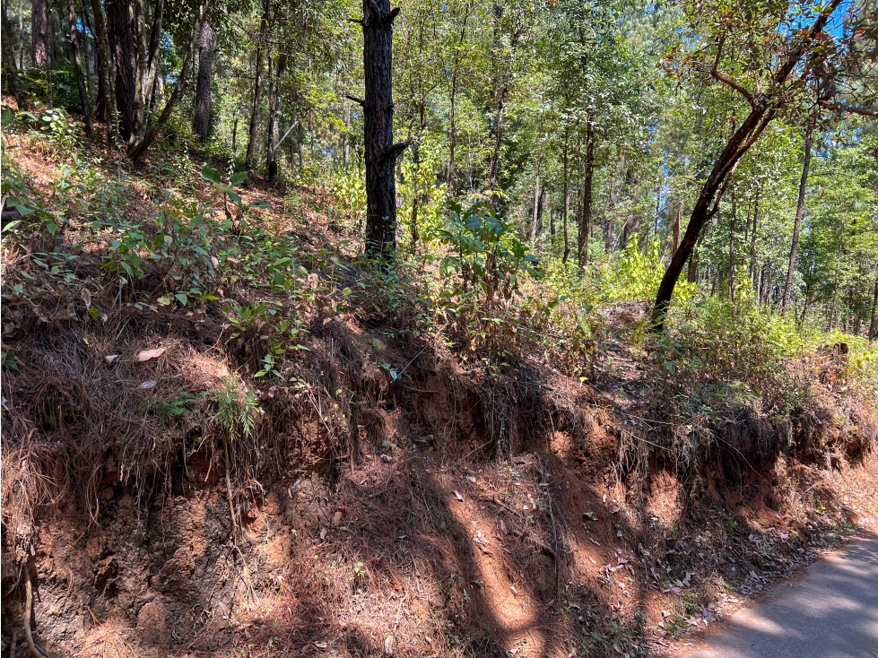 TERRENO EN VENTA|ENTORNO BOSCOSO|AVANDARO|VALLE DE BRAVO — foto 5