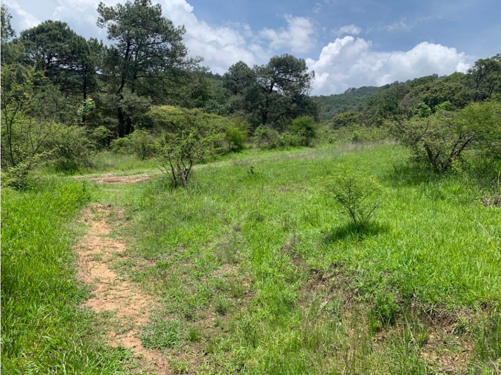 LOTES RESIDENCIALES EN VENTAL|SAN ANTONIO|VALLE DE BRAVO — foto 4