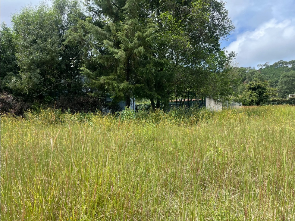 TERRENO EN VENTA EN ZONA DE ALTA PLUSVALIA |SAN MATEO ACATITLAN| L2 — foto 4