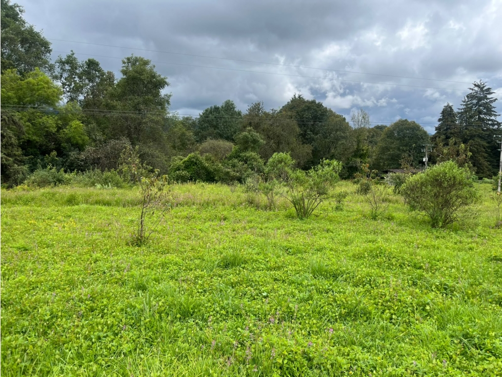 EXCELENTE TERRENO EN VENTA EN SAN MATEO ACATITLAN — foto 5