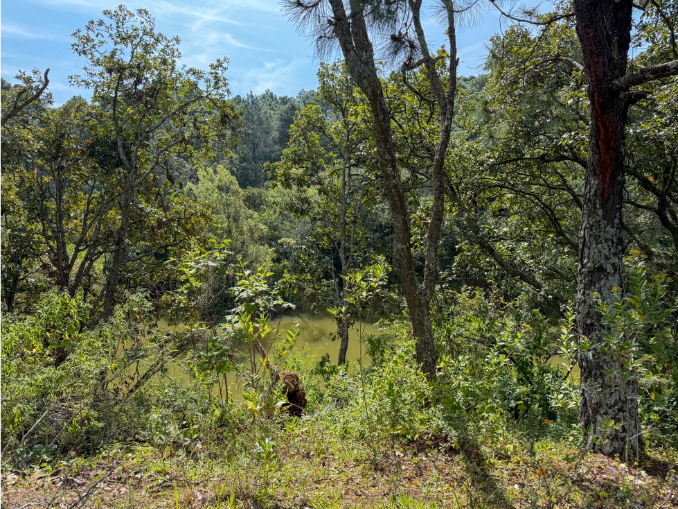 EXCLUSIVOS LOTES EN VENTA| NATURALEZA Y TRANQUILIDAD| VALLE DE BRAVO - 4