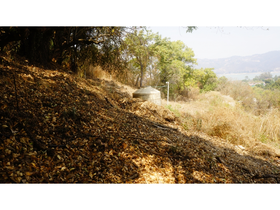TERRENO EN ZONA CENTRO CON VISTA PARCIAL AL LAGO — foto 6