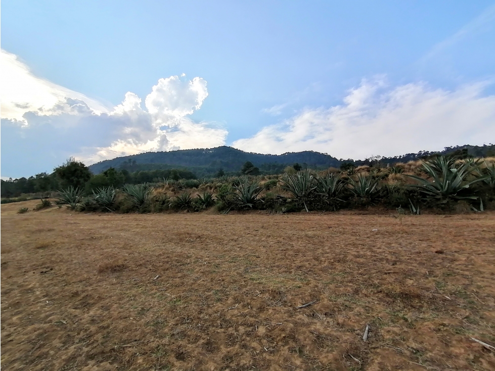 TERRENO EN VENTA SAN MIGUEL XOLTEPEC — foto 6
