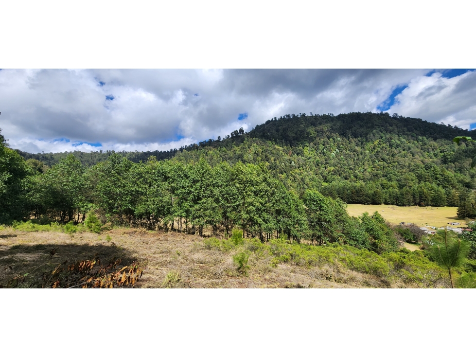 OPORTUNIDAD DE TERRENO CAMPIRANO — foto 3