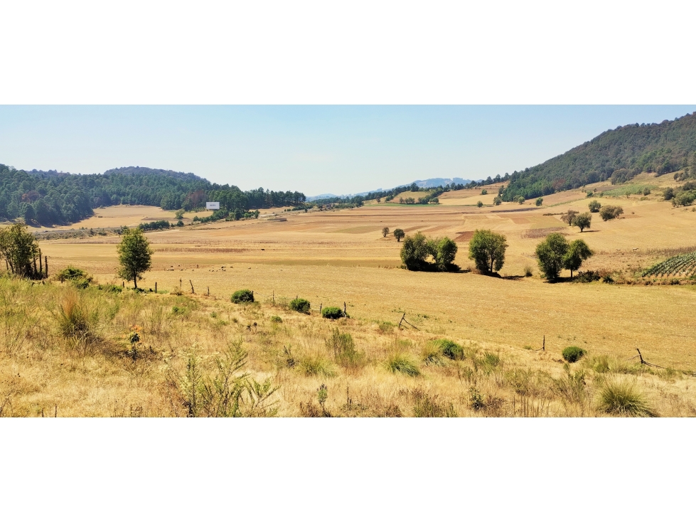 VENTA /PUEBLO NUEVO AMANALCO — foto 2