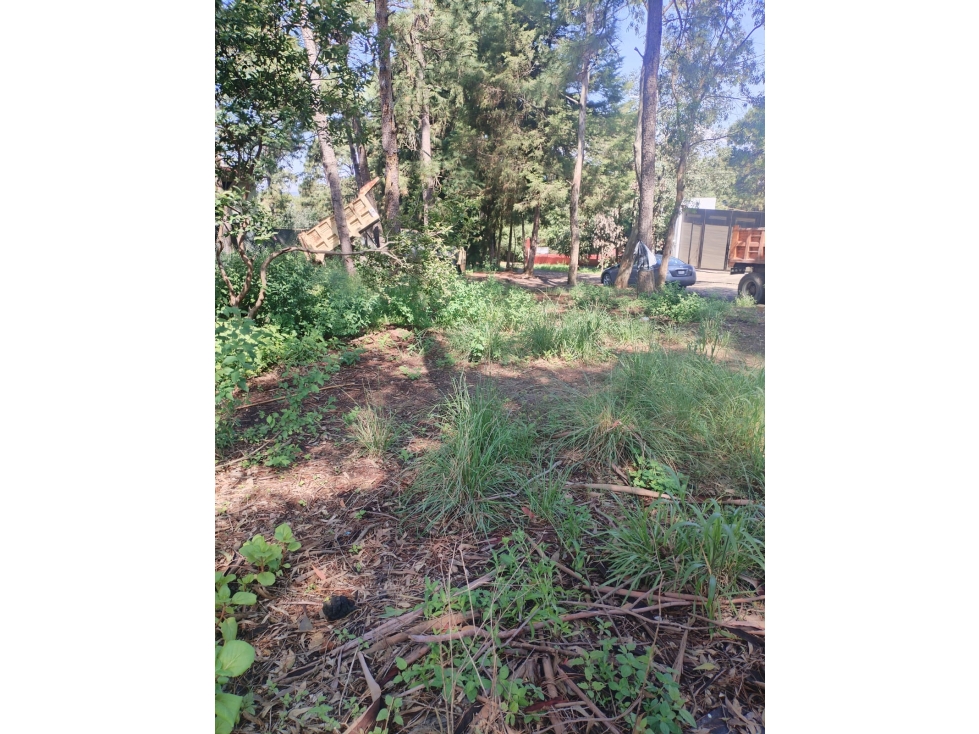 TERRENO EN VENTA | MONTE ALTO