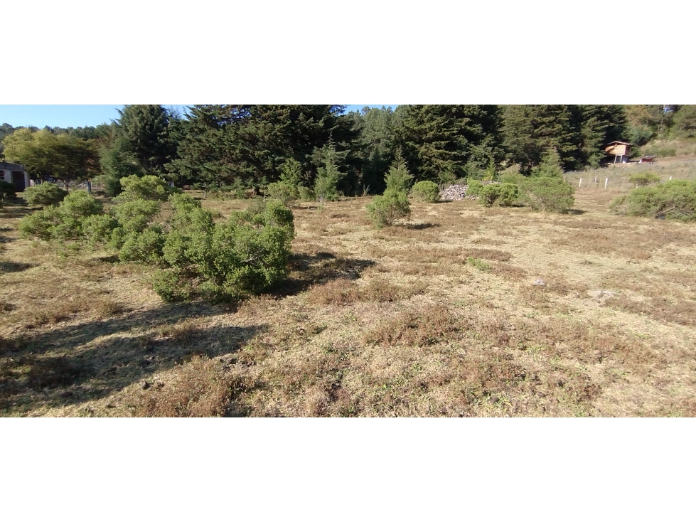 VENTA TERRENO /MESA RICA VALLE DE BRAVO — foto 5