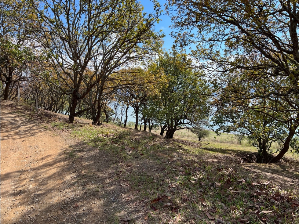 TERRENO CON ACCESO AL LAGO — foto 5