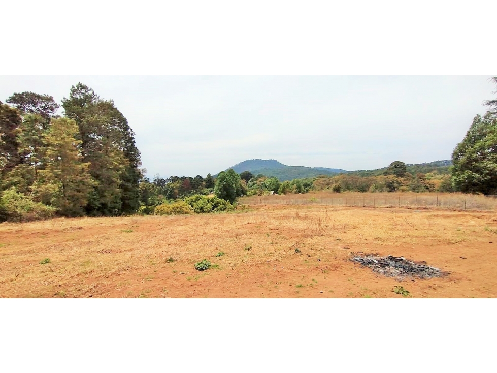 VENTA TERRENO /EL MANZANO/ CERRO GORDO — foto 2