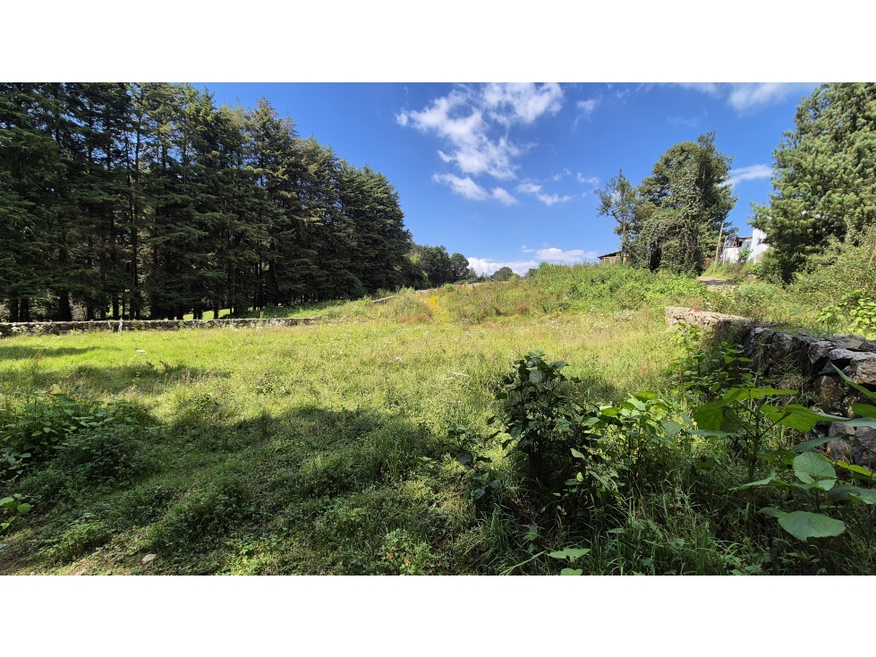 TU REFUGIO EN EL BOSQUE || TERRENO EN VENTA VALLE DE BRAVO — foto 2