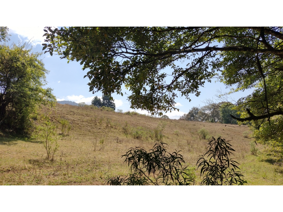 TERRENO EN VENTA/EL MANZANO/CERRO GORDO — foto 4