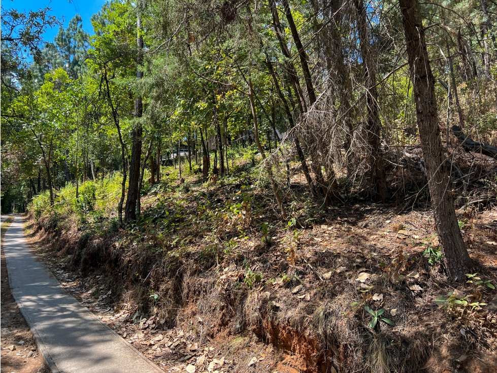 TERRENO EN VENTA|ENTORNO BOSCOSO|AVANDARO|VALLE DE BRAVO — foto 6