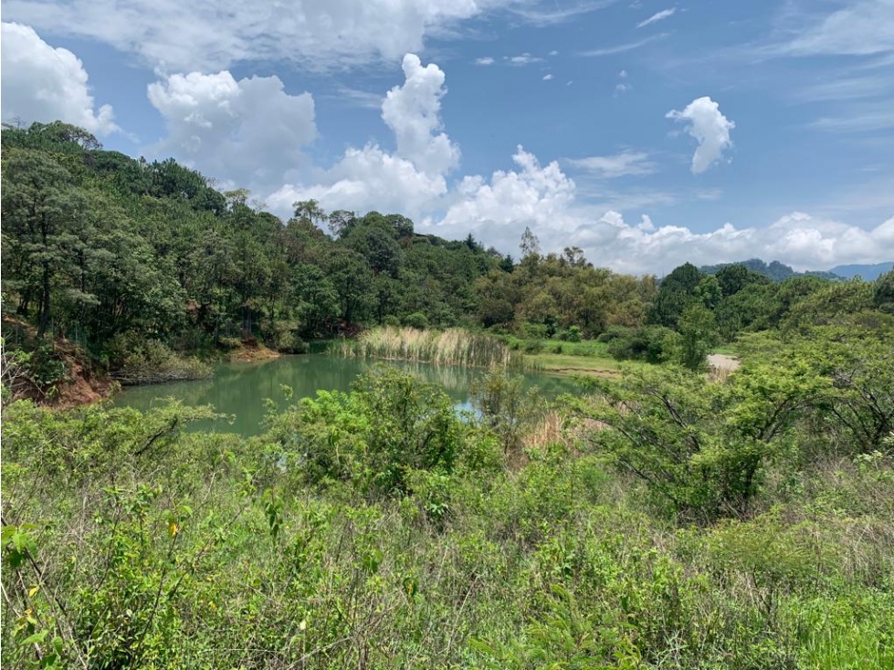 LOTES RESIDENCIALES EN VENTAL|SAN ANTONIO|VALLE DE BRAVO — foto 5