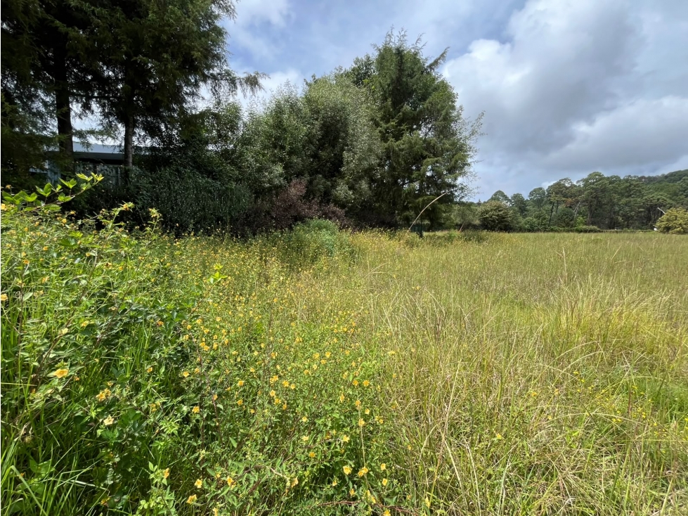 TERRENO EN VENTA EN ZONA DE ALTA PLUSVALIA |SAN MATEO ACATITLAN| L2 — foto 5