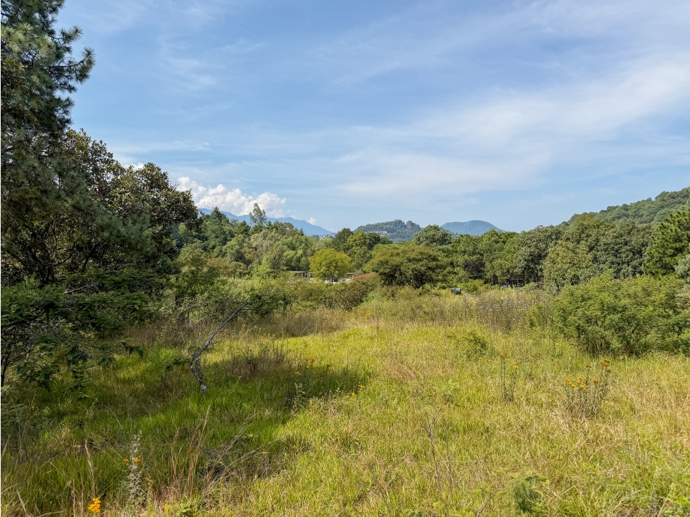 EXCLUSIVOS LOTES EN VENTA| NATURALEZA Y TRANQUILIDAD| VALLE DE BRAVO - 5