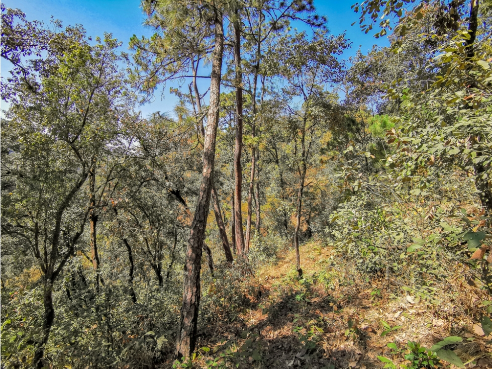 VENTA TERRENO/ AVANDARO — foto 2