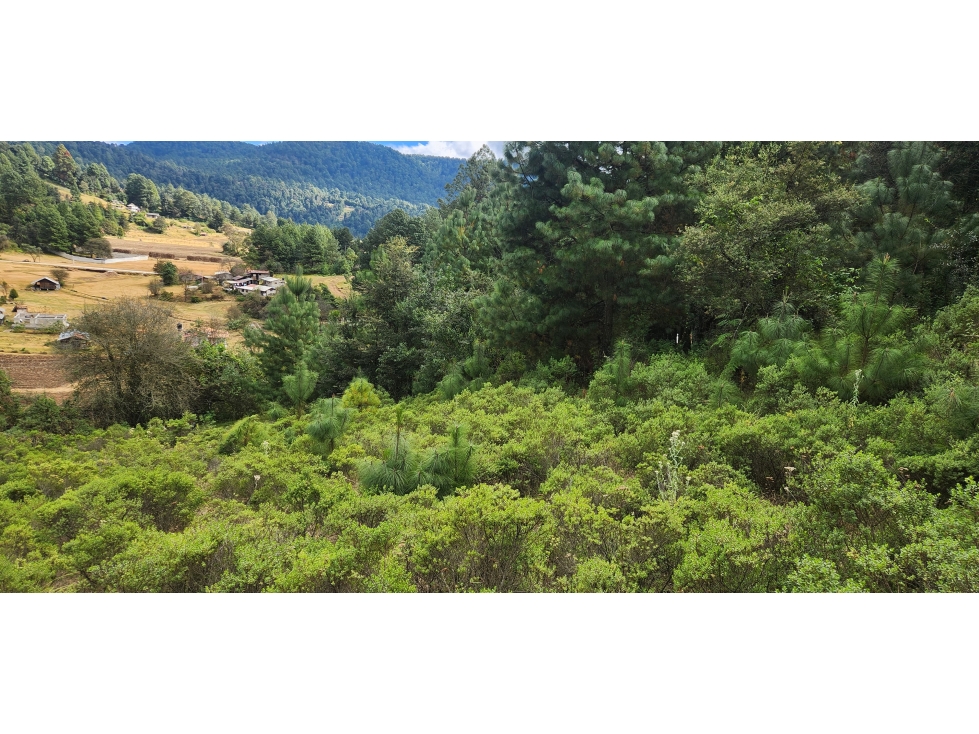 OPORTUNIDAD DE TERRENO CAMPIRANO — foto 4