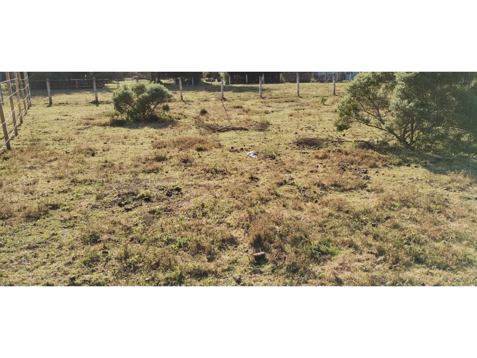VENTA TERRENO /MESA RICA VALLE DE BRAVO — foto 6