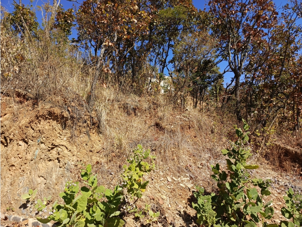 TERRENO EL SANTUARIO — foto 6