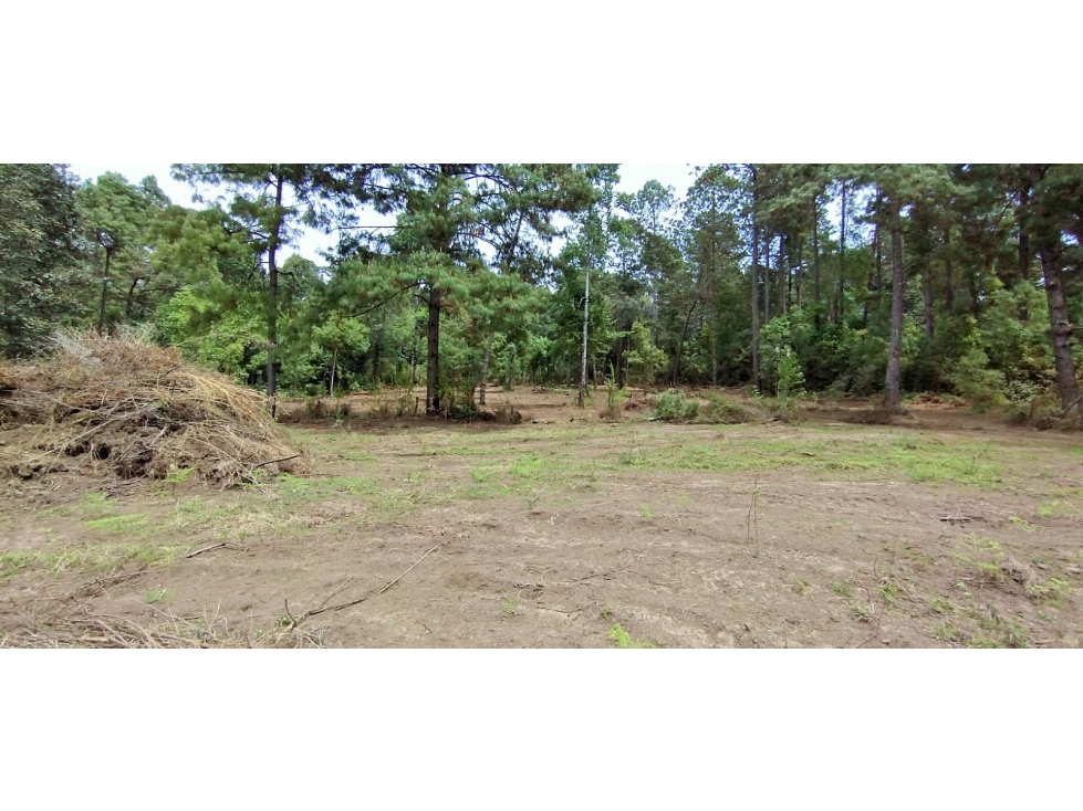 TERRENO EN VENTA/EL MANZANO/VALLE DE BRAVO - 2