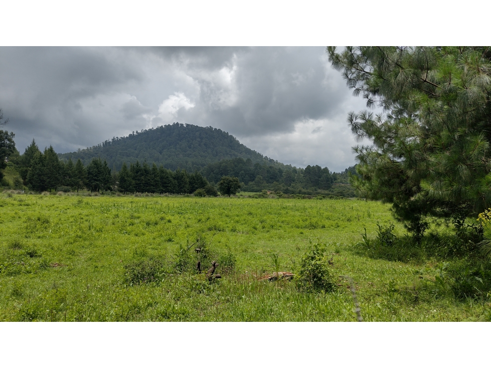 TERRENO EN VENTA EN MESA RICA/VALLE DE BRAVO - 3