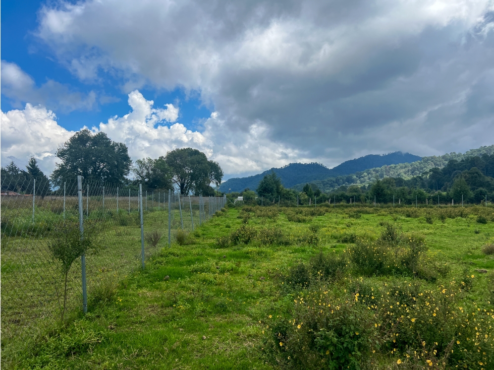 TERRENO EN VENTA|CERRO GORDO|VALLE DE BRAVO — foto 6