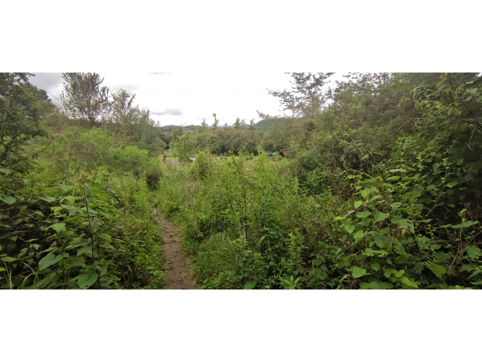 LOTE EN VENTA|VALLE SANTANA|VALLE DE BRAVO — foto 6